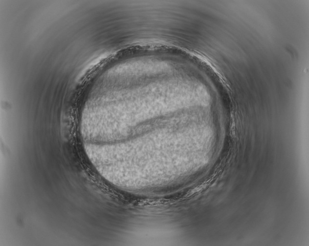 X0000090610967200708071200