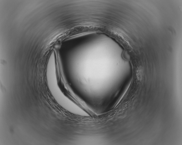 X0000090610968200708071200