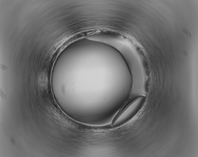 X0000090610969200708071200