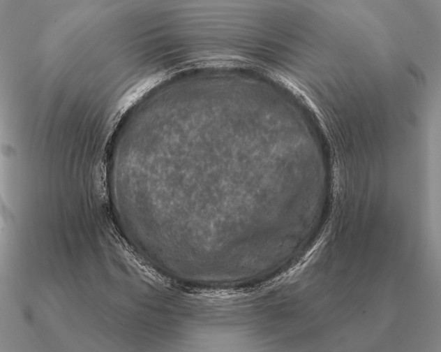 X0000090610970200708071200