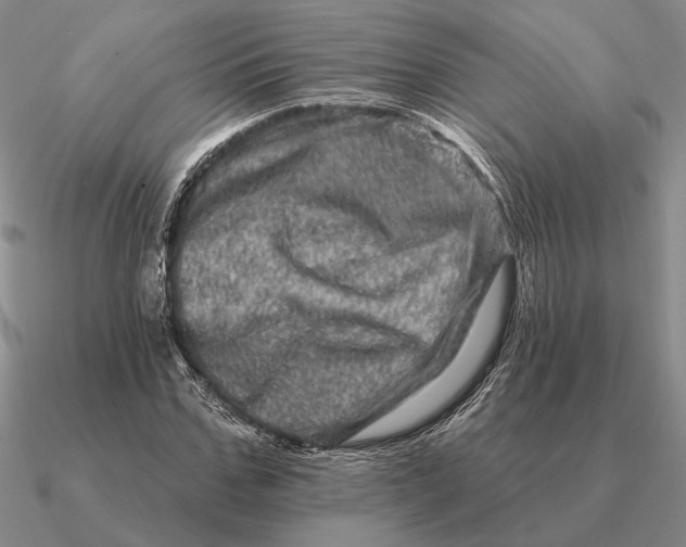 X0000090610971200708071200