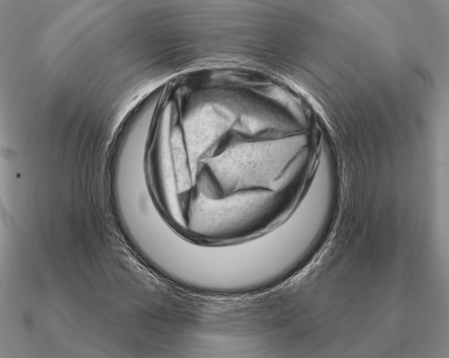 X0000090610973200708071200