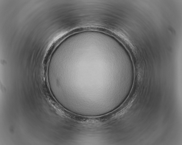 X0000090610974200708071200