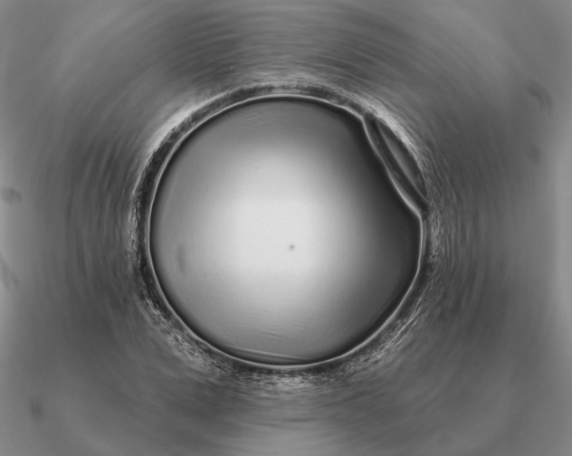 X0000090610975200708071200