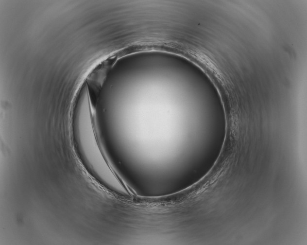 X0000090610976200708071200