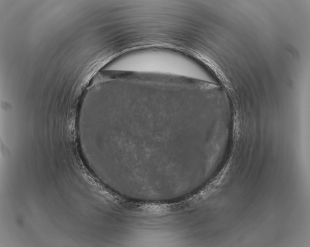 X0000090610977200708071200