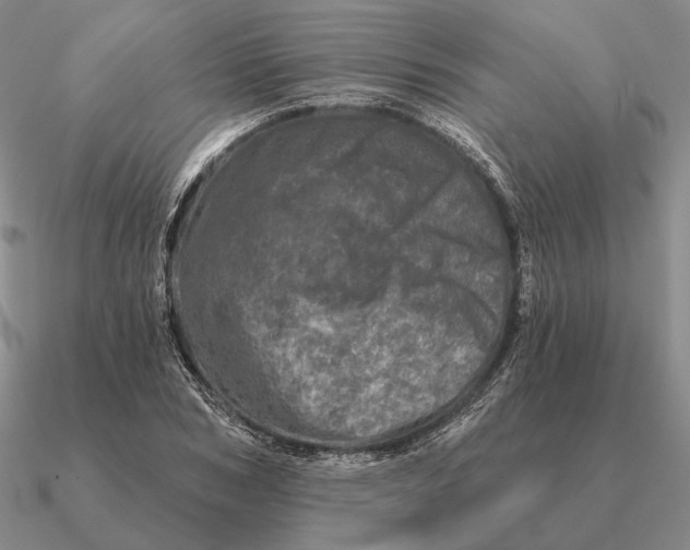 X0000090610978200708071200