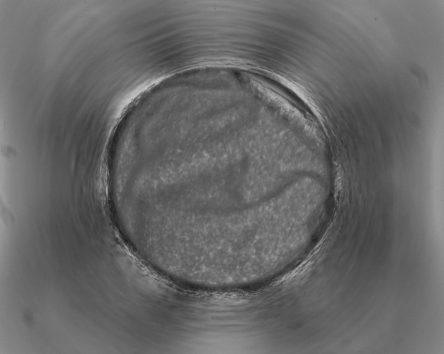 X0000090610979200708071200