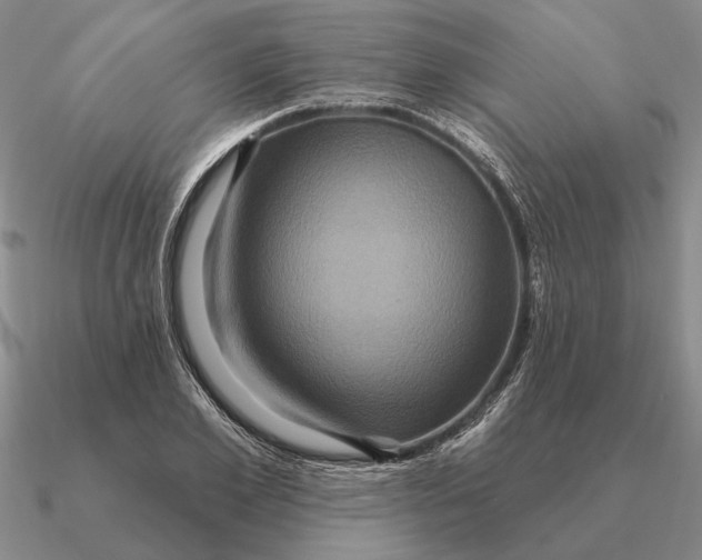 X0000090610981200708071200