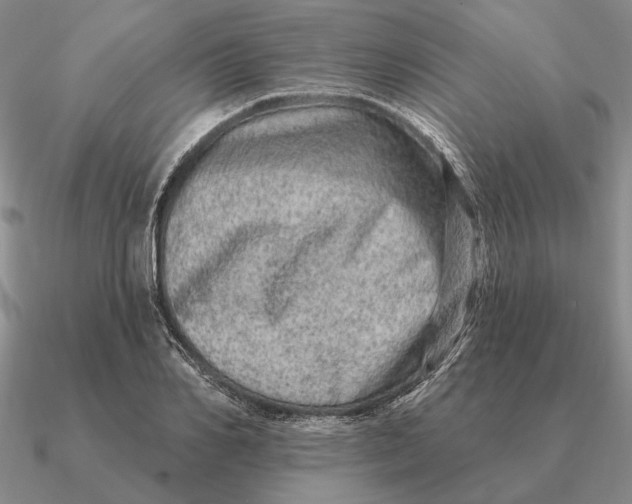 X0000090610982200708071200