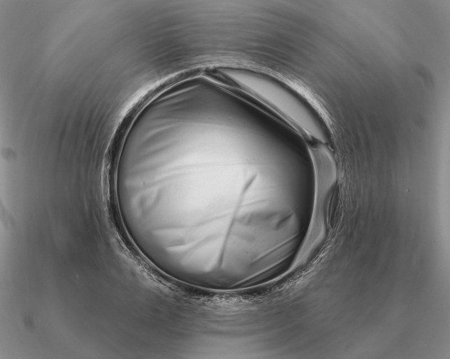 X0000090610983200708071200