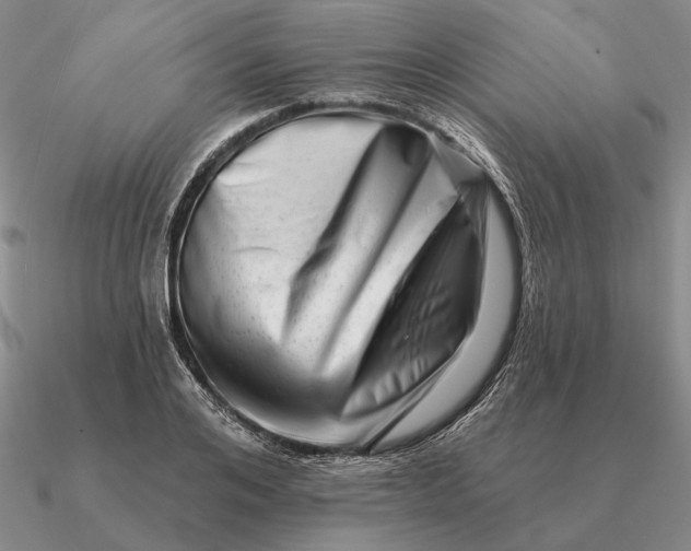 X0000090610984200708071200