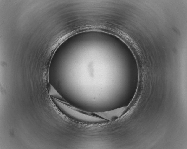 X0000090610985200708071200