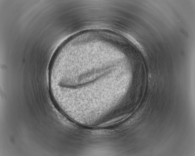 X0000090610988200708071200