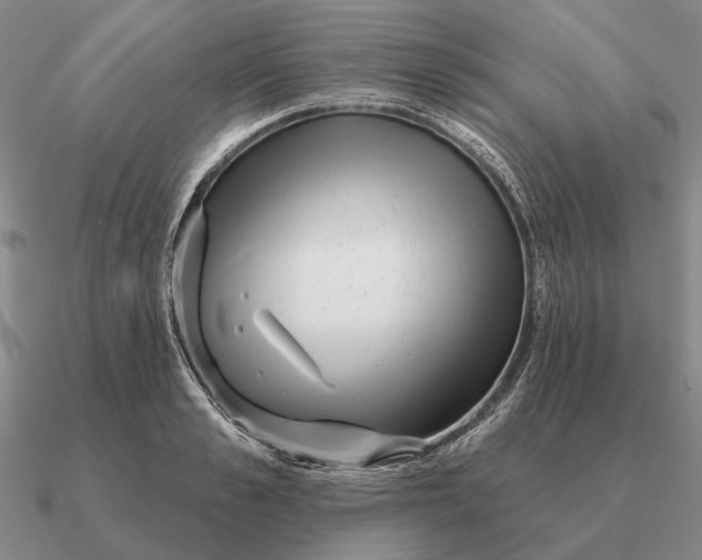 X0000090610989200708071200