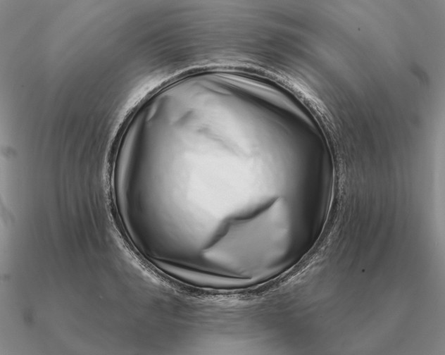 X0000090610990200708071200