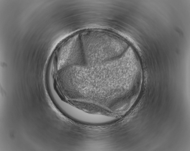 X0000090610991200708071200