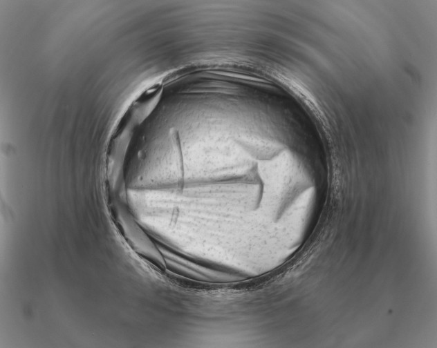 X0000090610992200708071200