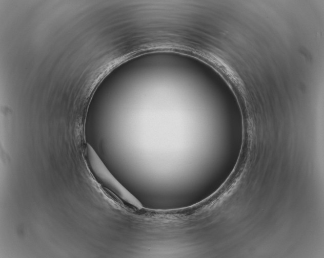 X0000090610993200708071159