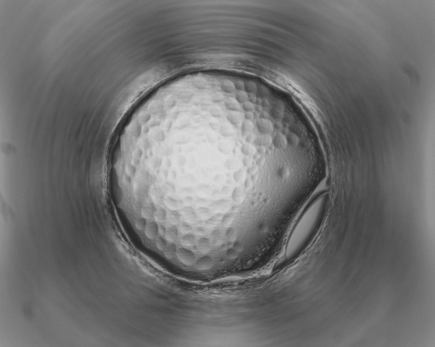 X0000090610994200708071159