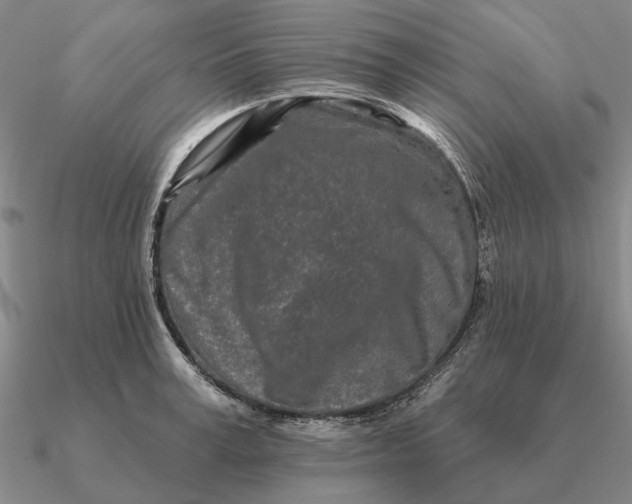 X0000090610995200708071159