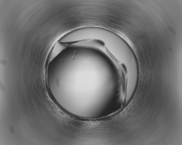 X0000090610996200708071159