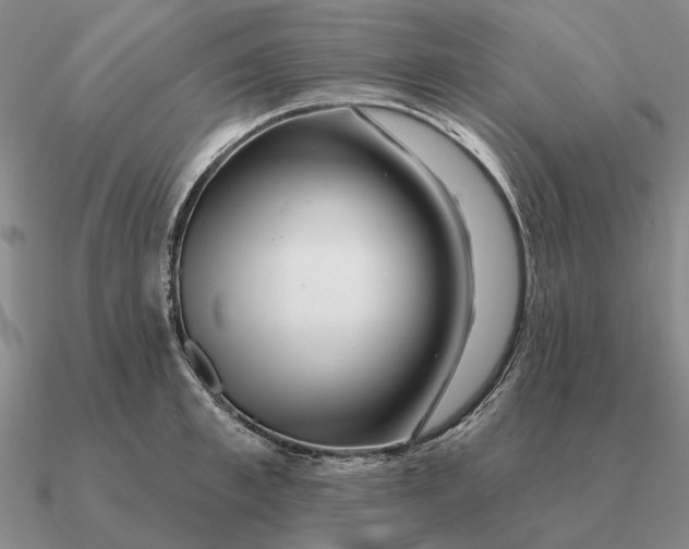 X0000090610997200708071159