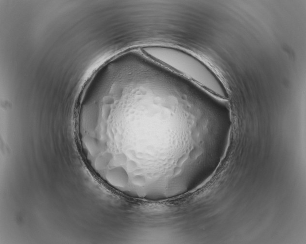 X0000090610998200708071159