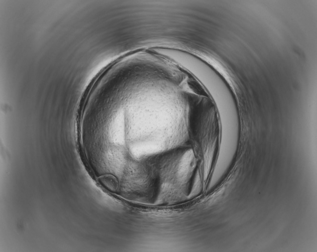 X0000090610999200708071159