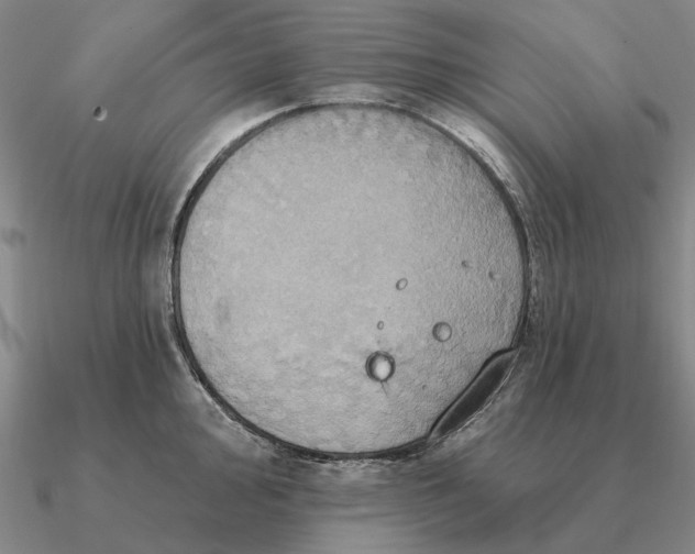 X0000090611000200708071159