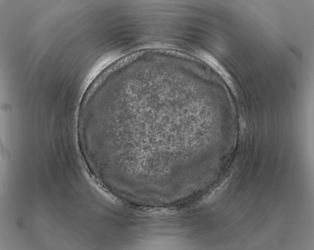 X0000090611002200708071159