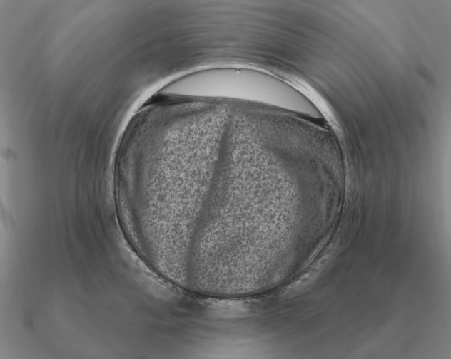 X0000090611004200708071159