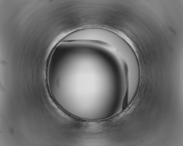 X0000090611005200708071159