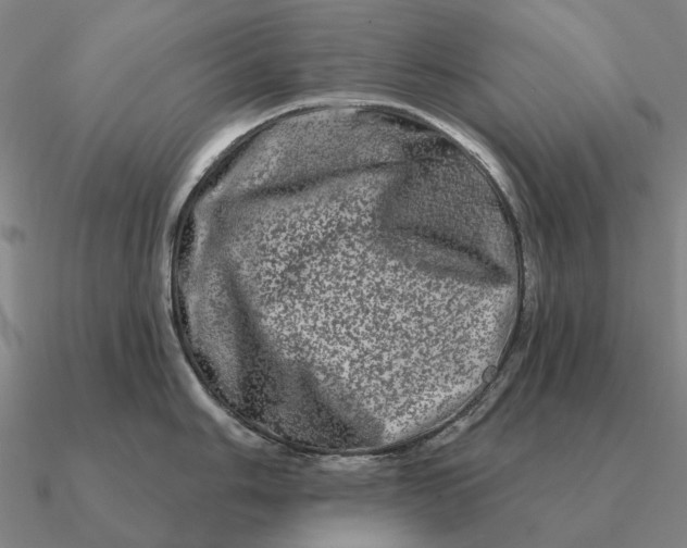 X0000090611006200708071159