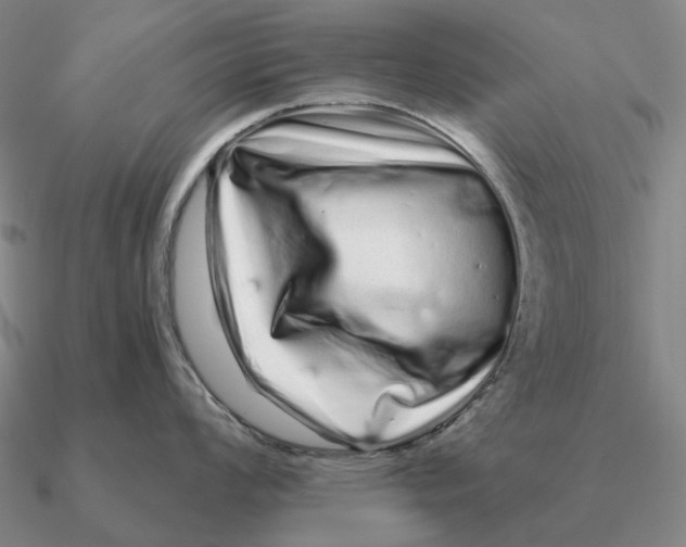 X0000090611008200708071159