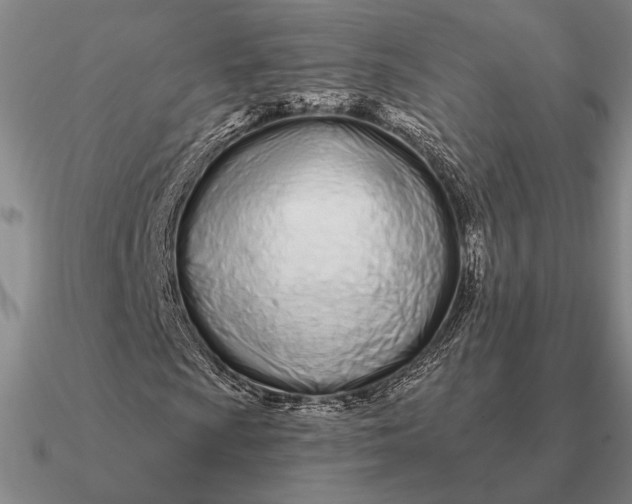 X0000090611009200708071159