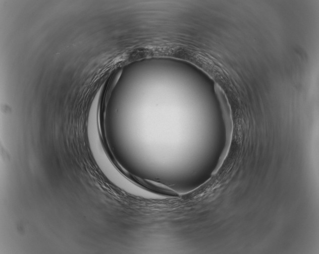 X0000090611010200708071159