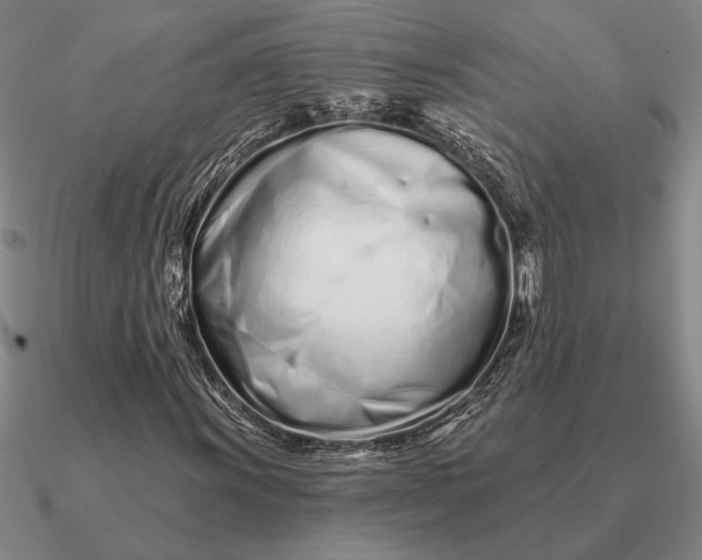 X0000090611011200708071159