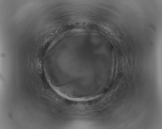 X0000090611013200708071159