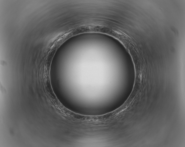 X0000090611014200708071159