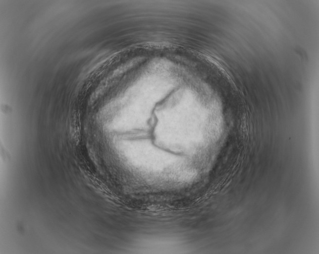 X0000090611015200708071159