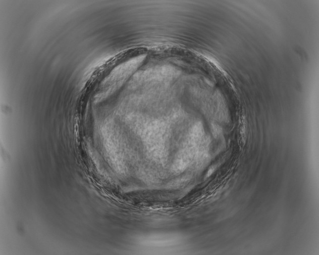 X0000090611016200708071159