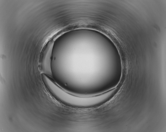 X0000090611018200708071159