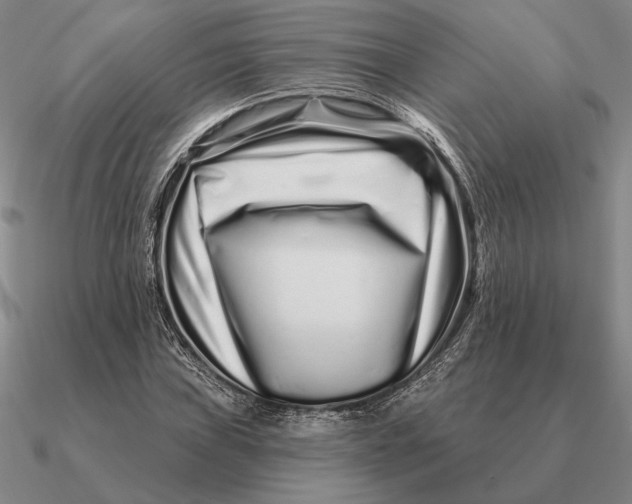 X0000090611019200708071159