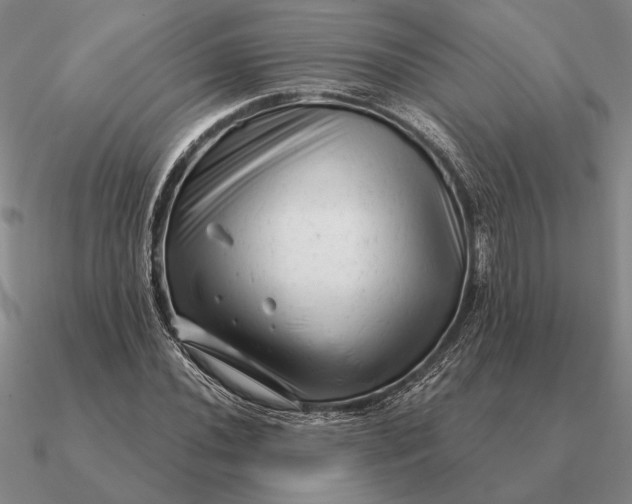 X0000090611020200708071159