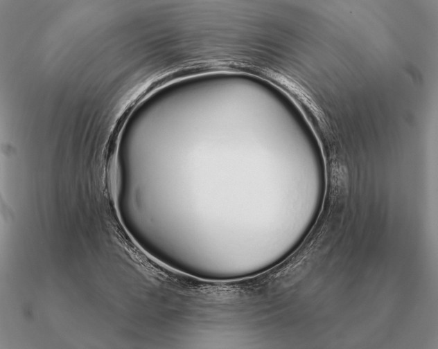 X0000090611023200708071159