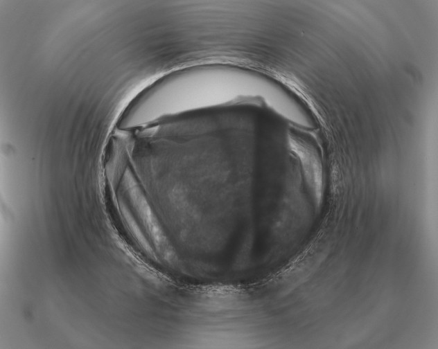 X0000090611024200708071159