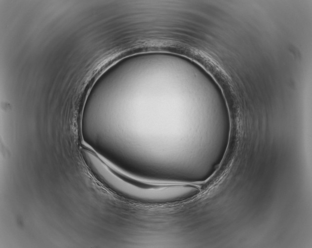 X0000090611025200708071159