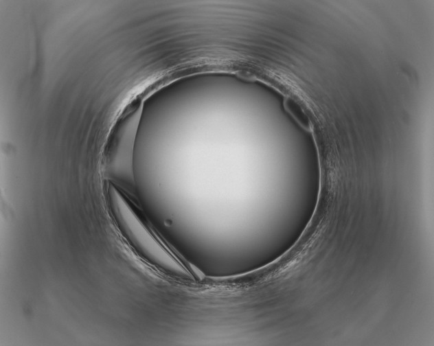 X0000090611026200708071159