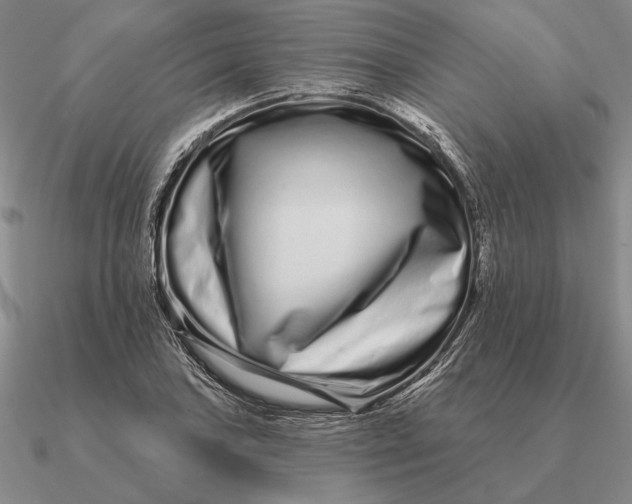 X0000090611027200708071159